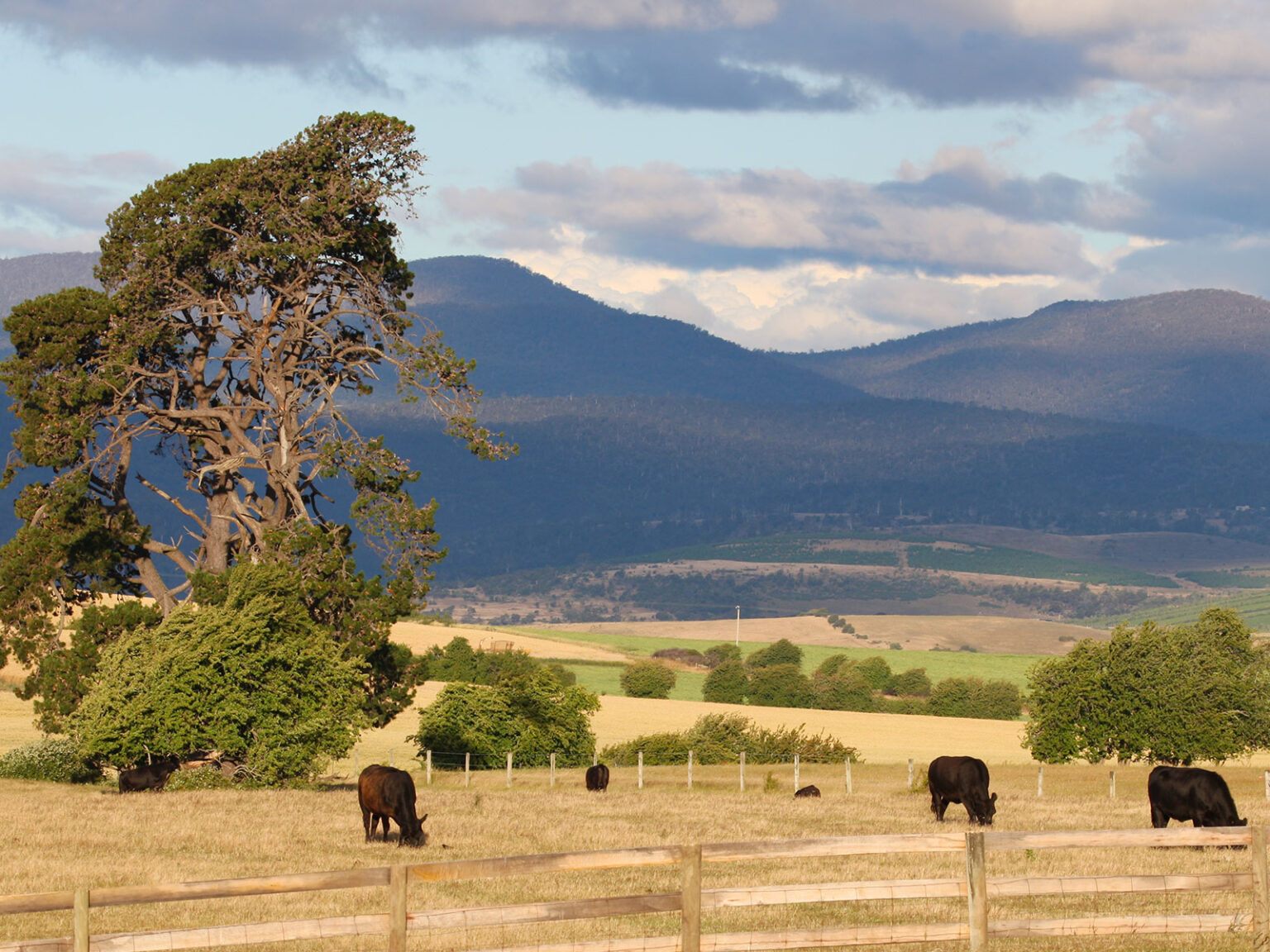 Farm Succession Planning - Wills & Estate Planning | CLO Lawyers, Toowoomba QLD